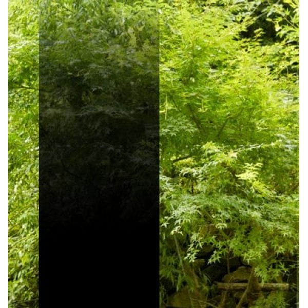 3M™ FASARA™ Glass Finish Gradation, SH2BKIM, Ilumina Black, 1270 mm x 30 m