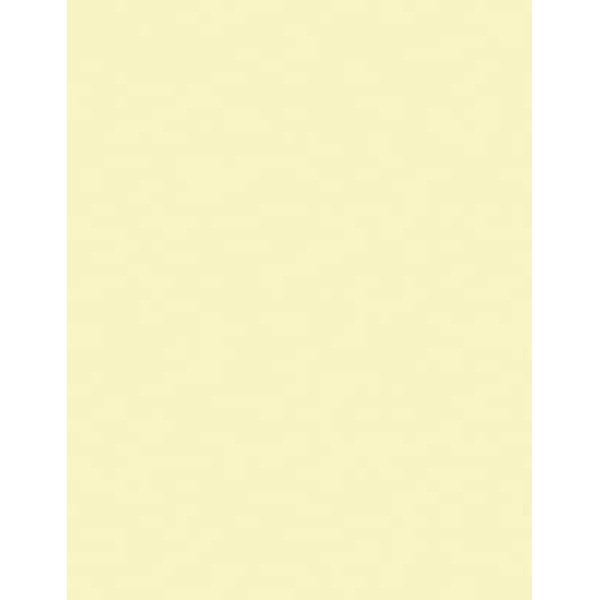 3M™ Lapping Film 261X, 12.0 Micron Sheet, 8.50 in x 11 in, 50 per inner 200 per case