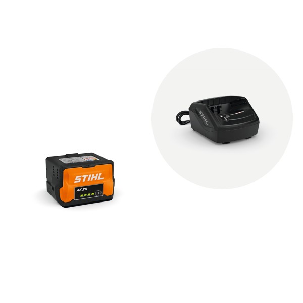 SET acumulator AK 20 si incarcator AL 101